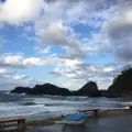 越前松島水族館の写真_318755