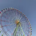 国営ひたち海浜公園の写真_318758