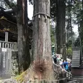 三峯神社の写真_318809