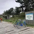 国営ひたち海浜公園の写真_318846