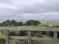 国営ひたち海浜公園の写真_318848