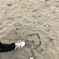 国営ひたち海浜公園の写真_318849