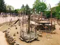八木山動物公園フジサキの杜の写真_319022