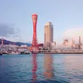 神戸ポートタワーの写真_319025