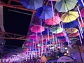 ハウステンボスの写真_319053