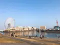 みなとみらいの写真_319069