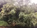 きしもと食堂の写真_319076