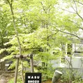 NASU SHOZO CAFEの写真_319114