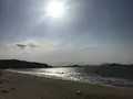 生の松原海岸森林公園の写真_319186