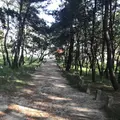 生の松原海岸森林公園の写真_319192