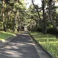 生の松原海岸森林公園の写真_319193