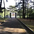 生の松原海岸森林公園の写真_319194