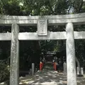 木の葉モール橋本の写真_319204