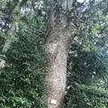 木の葉モール橋本の写真_319205