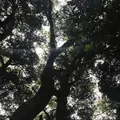 木の葉モール橋本の写真_319207