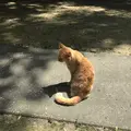 木の葉モール橋本の写真_319211