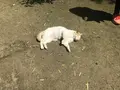 木の葉モール橋本の写真_319216