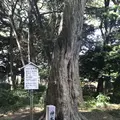 木の葉モール橋本の写真_319217