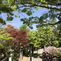 紅葉八幡宮の写真_319235