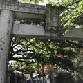 紅葉八幡宮の写真_319246