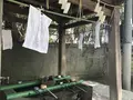 愛宕神社の写真_319335