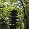 愛宕神社の写真_319343