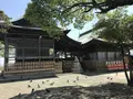 愛宕神社の写真_319350