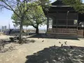 愛宕神社の写真_319351