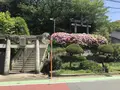 愛宕神社の写真_319354
