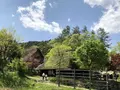 飛騨高山の写真_319385