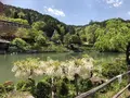 飛騨高山の写真_319389