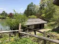 飛騨高山の写真_319390