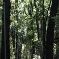 野々下水辺公園の写真_319452
