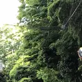 野々下水辺公園の写真_319453