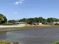 野々下水辺公園の写真_319454