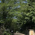 野々下水辺公園の写真_319458