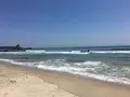 吉佐美大浜海水浴場の写真_319544