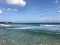 吉佐美大浜海水浴場の写真_319547
