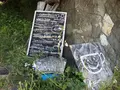 吉佐美大浜海水浴場の写真_319550