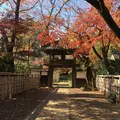 川越大師 喜多院の写真_319553