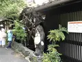 深大寺の写真_319559