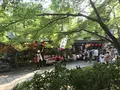 深大寺の写真_319560
