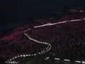 白米千枚田の写真_319568