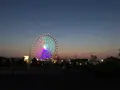 WILD BEACH SEASIDE GLAMPING PARKの写真_319661