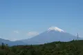 三島スカイウォークの写真_319774