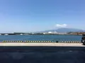 沼津魚市場食堂の写真_319814