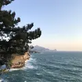 堂ヶ島遊步道の写真_319821