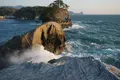 堂ヶ島遊步道の写真_319822
