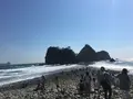 三四郎島の写真_319845