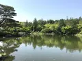 国営昭和記念公園の写真_319854